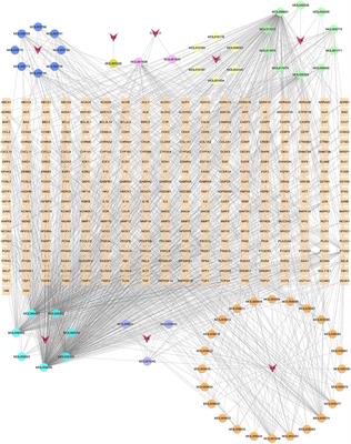 The mechanism of Gejie Zhilao Pill in treating tuberculosis based on network pharmacology and molecular docking verification